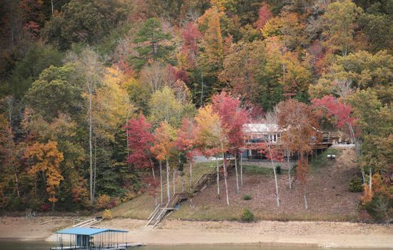 Norris Lakefront Paradise – Year round Lakefront with Covered dock