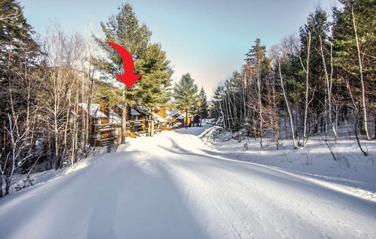 Mountainside @ Attitash | Central + Ski in/Ski out ⛷