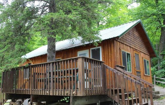 Cabin 8 - Newly remodeled cabin with shaded deck on the lakeshore