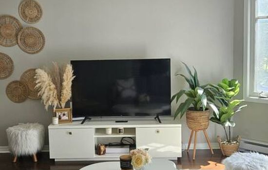 Boho Retreat – 3BD Condo. Close to Ottawa