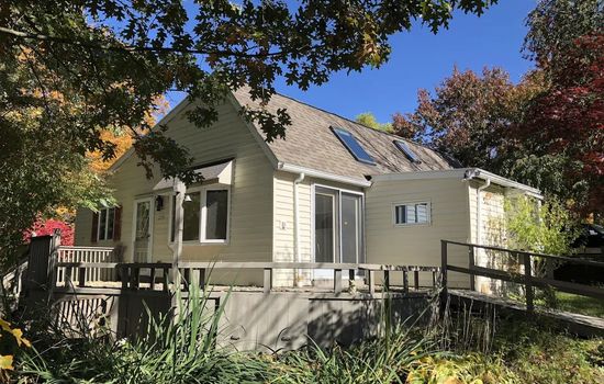 Sunflower - Main_19_11zon