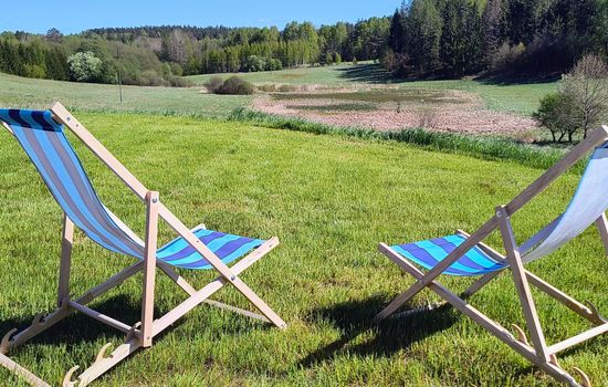 Vogelecke - abseits des Trubels und der Hektik