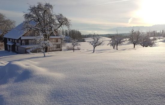 Historisches Riegel-Doppelbauernhaus
