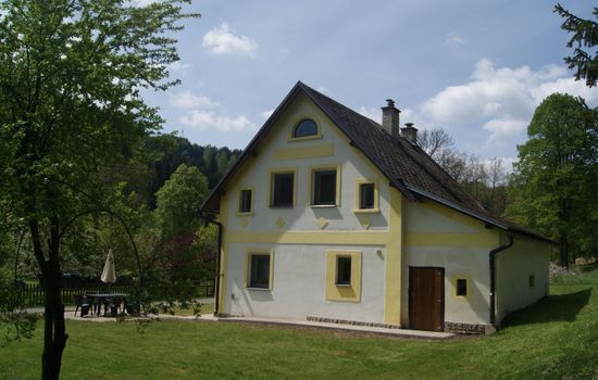 in natürlicher Umgebung