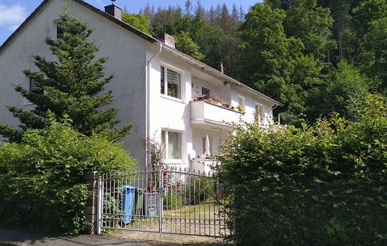 Appartement in Steina mit Terrasse und Garten