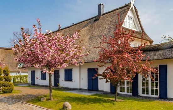 in Groß Schwansee mit Offenem Kamin