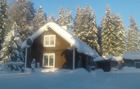 Gemütliches Ferienhaus am Polarkreis