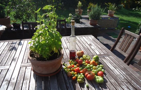 in ruhiger Lage am Waldrand