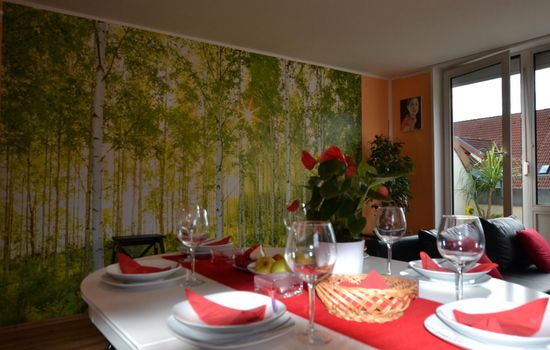 Großzügige Ferienwohnung mit Terrasse