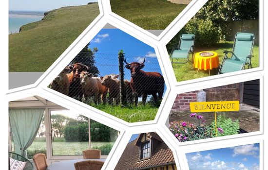 Gite 3* du Petit Pressoir zwischen Meer und Wald in der Nähe von Le Tréport Mer