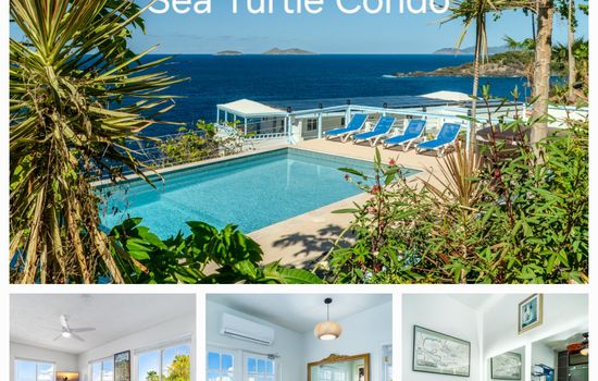 Sea Turtle Oceanfront Villa with Pool & Hot Tub!