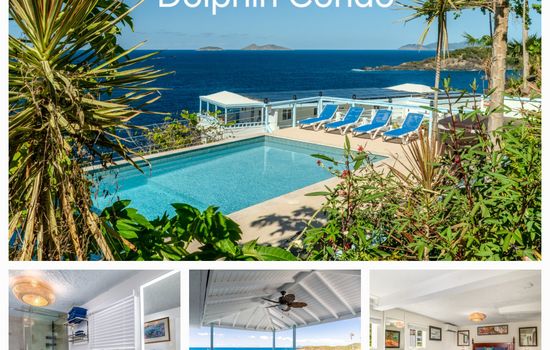 Dolphin Oceanfront Villa with Pool & Hot Tub! USVI