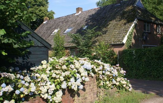 Geschmackvoll eingerichtetes Bauernhaus aus dem 19.