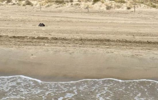 Villa Grao Benicasim REF 026