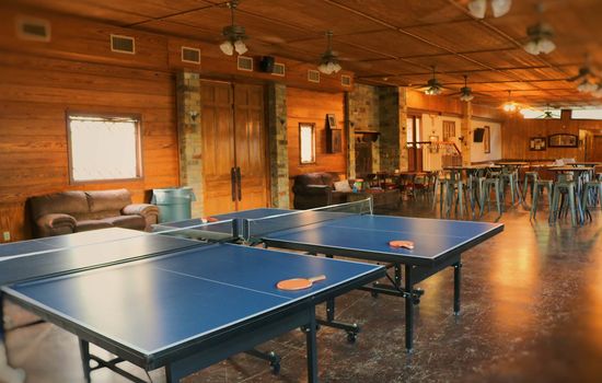 Challenge Friends and Family to Ping Pong!