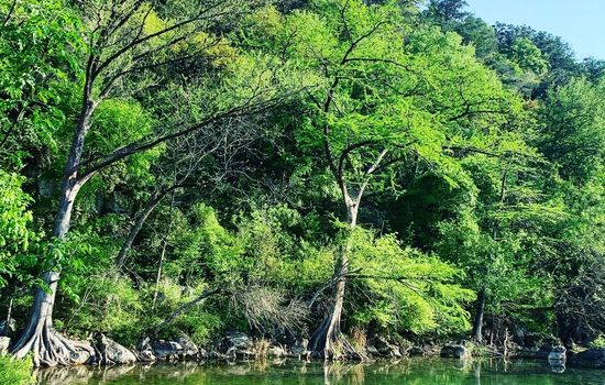 Son's Guadalupe Glamping Tents #F & Cabana #8