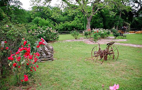 Beautiful garden
