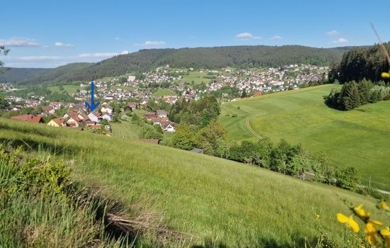 Schwarzwald Idylle