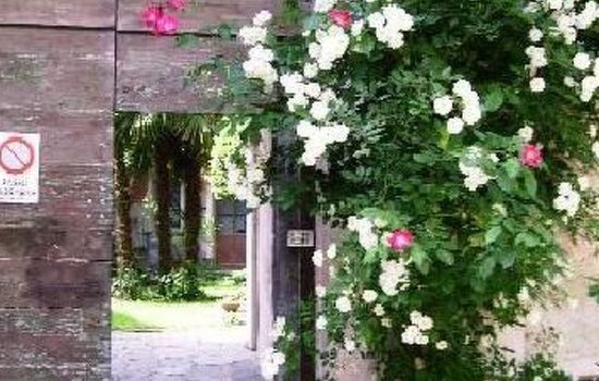 Wohnung Caprifoglio in Miasino