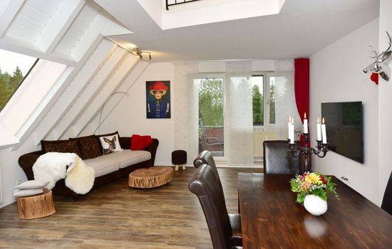 Apartment Black Forest Bollenhut Deluxe