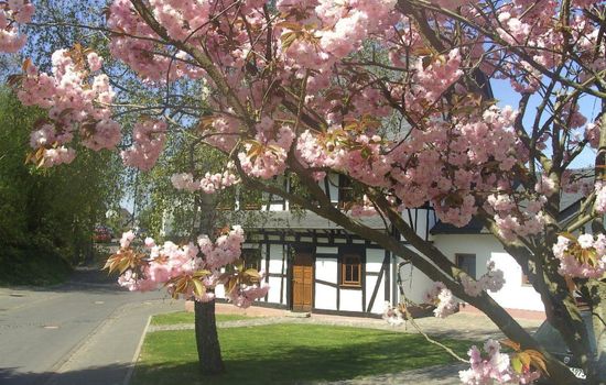 Romantisches Fachwerkhaus zwischen Rhein und Mosel