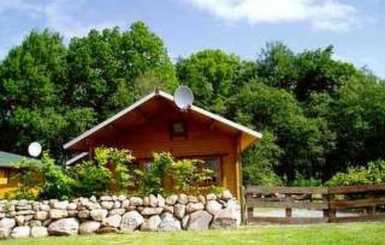 in Dümmer mit Grill und Terrasse