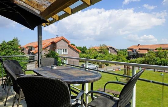 Sonnenblume in Hohen Wieschendorf