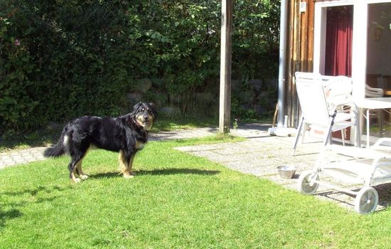 in Zandt mit Garten, Terrasse und Grill