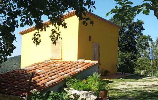 Kleines feines helles Appartment im Gruenen mit Meerblick