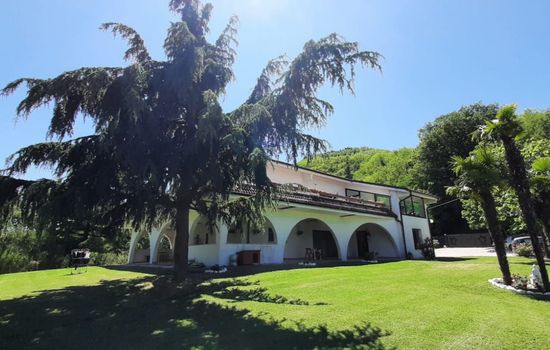 'Dear Peace on the Hill