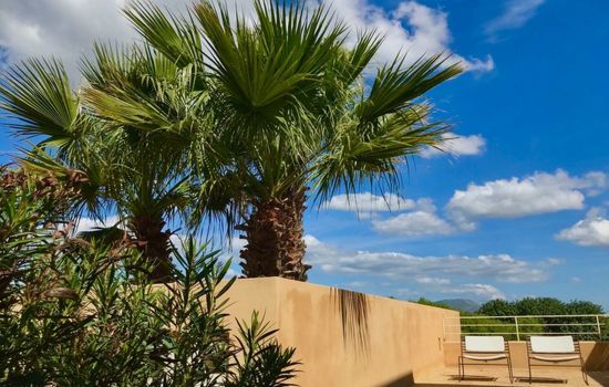 Haus der Palme in Menfi