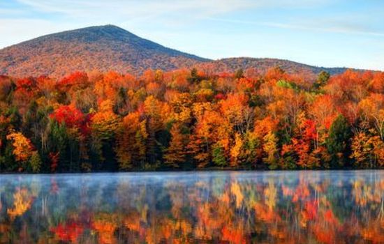 Schönes Haus in Sparrow Bush mit privatem Parkplatz und Bergblick