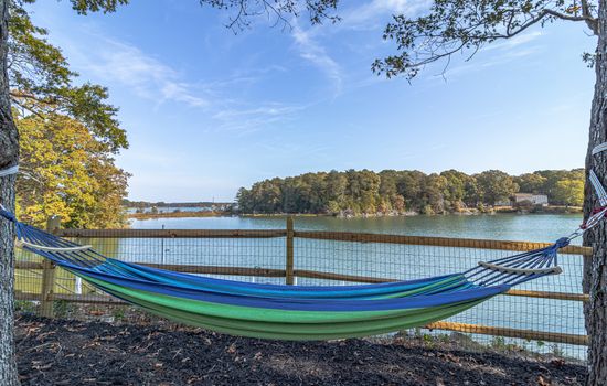 Lounge in the hammock
