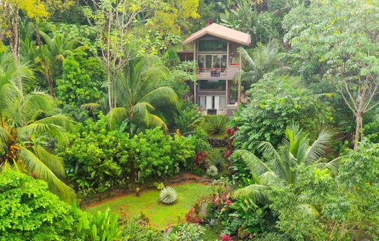 Aerial View off Sloth and Tortuga and amazing nature paths