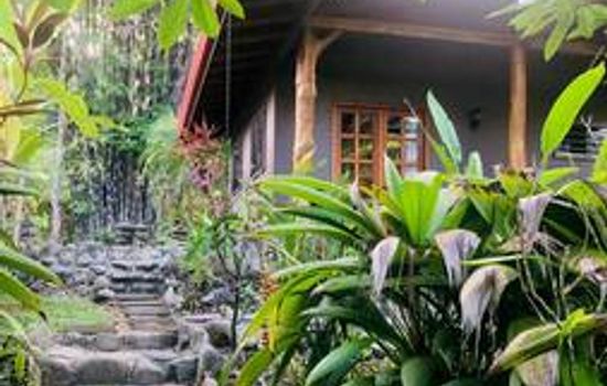 Birdwatching paradise at our nature hotel