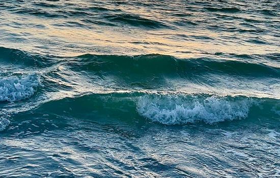 0e7b1879 9b76 4625 ab9e de68482c0ae9