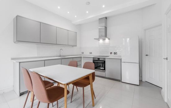 New modern kitchen with new appliances