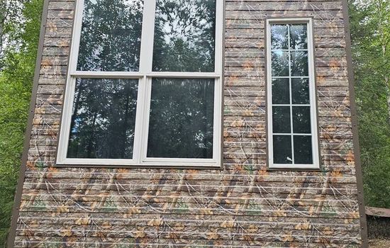 Northern Lights Camo Cabin #4