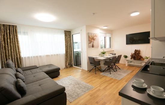 Moderne Wohnung in Kaisermühlen mit Garten und Panoramablick