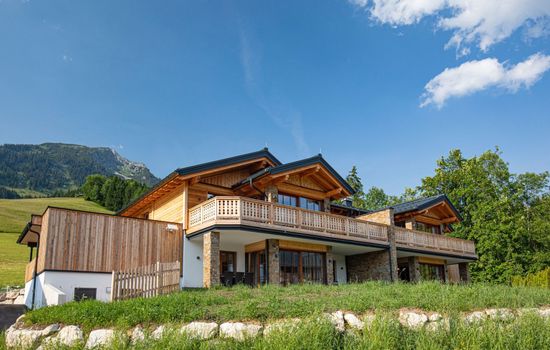 Dachstein Chalet Haus b