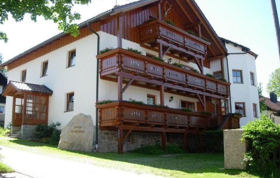 Wohnung in Ludwigsreut mit Grill und Garten