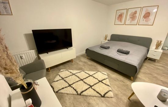 Moderne und gemütliche Ferienwohnung in Zwickau free Wifi und Netflix