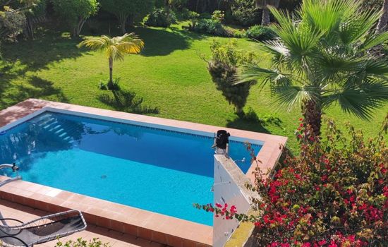 in El Sauzal mit Großem Pool und Meerblick