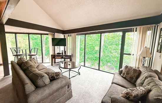 "Soak in the vibrant greenery and peaceful ambiance of the Ozarks from our spacious living room. Your Treetop Village escape awaits!"