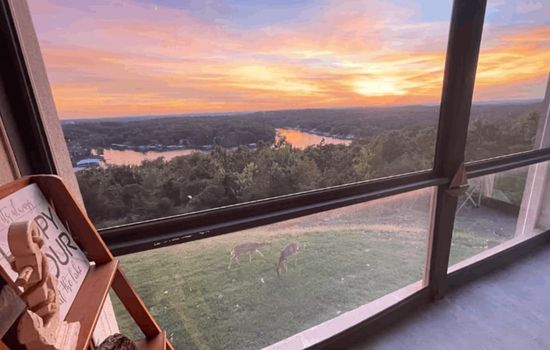 Enjoy breathtaking views of the sprawling Lake of the Ozarks and its lush surroundings directly from your unit, offering a picturesque backdrop for your stay.