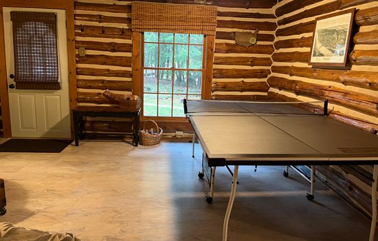 Settle in for endless ping-pong matches!