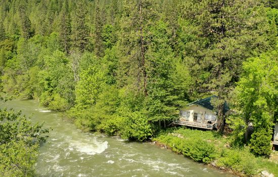 Spring time on the river