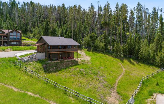 Surrounded by green! Keep your eye out for the Georgetown Moose