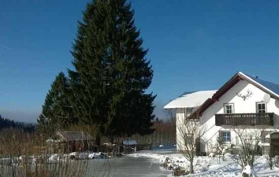 Wohnung in Haidmühle mit Terrasse und Garten