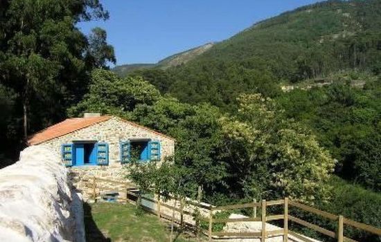 NATUR IN IHRER REINSTEN FORM